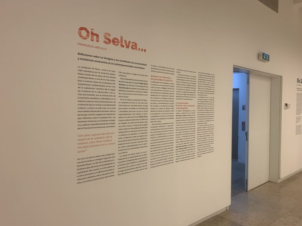 exposição ohselva (3)