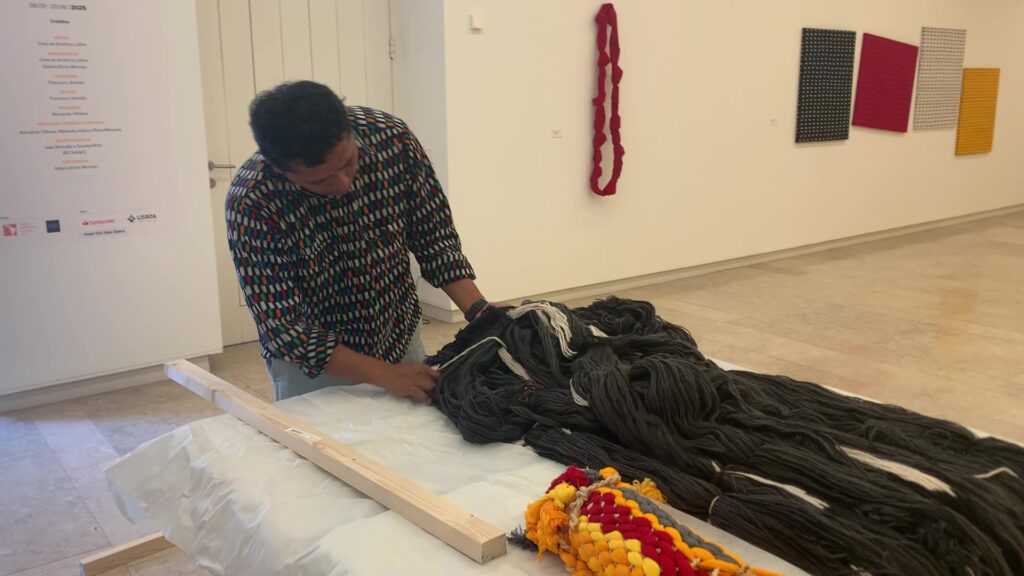 IMG_0388 - frame at 0m8s