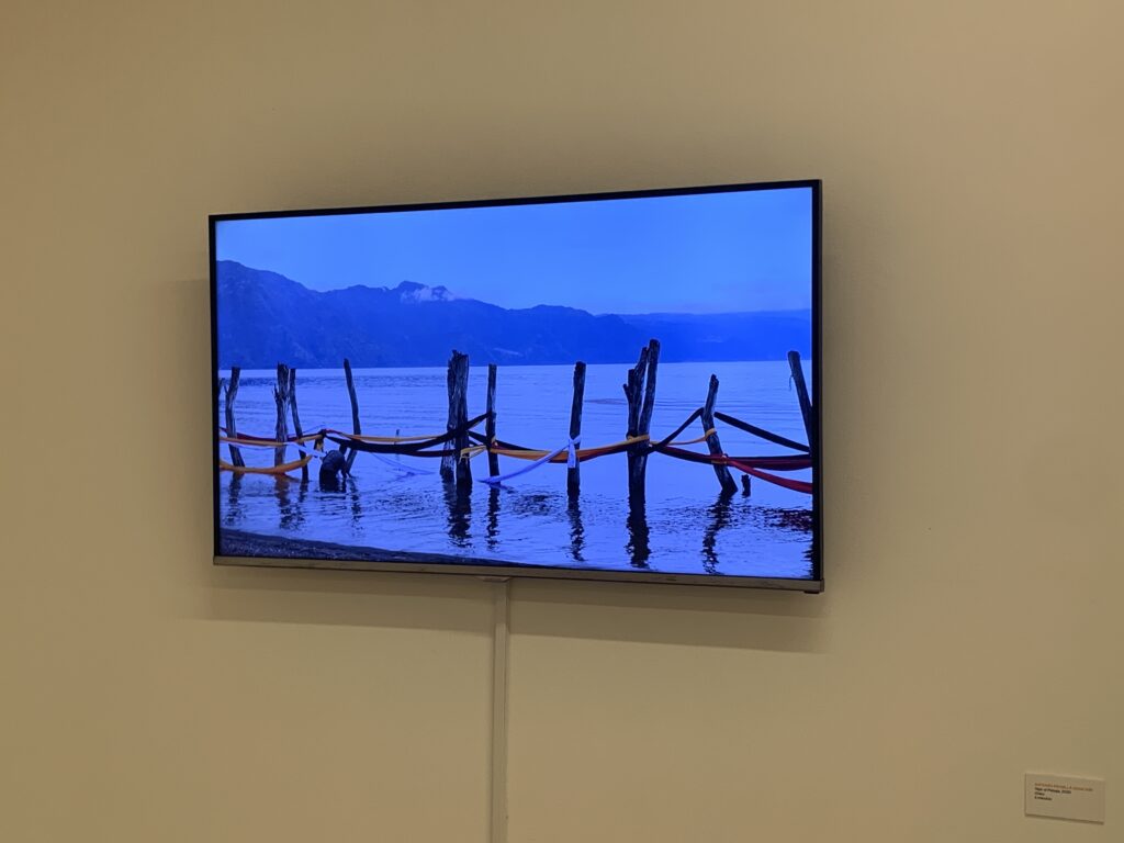 Exposição Tecendo Paisagens 15